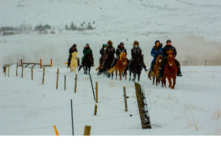 Riding Holiday Northern Lights